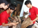 Gặp chàng trai làm giàu từ đôi tay vàng