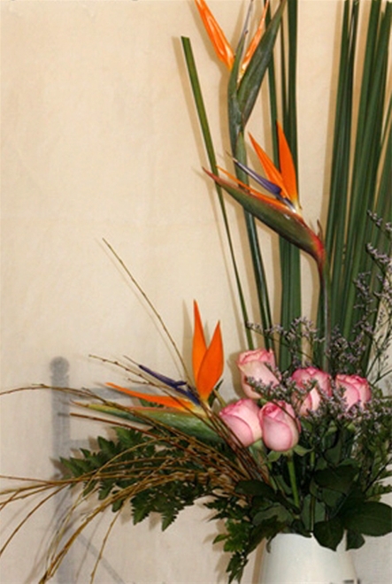 hoa đẹp 201/10
