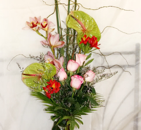 hoa đẹp 201/10