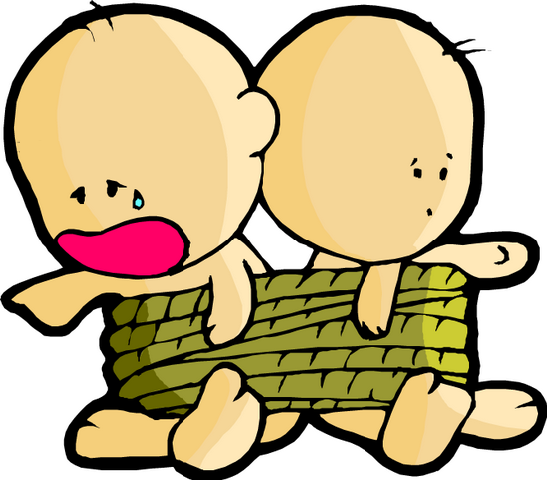 Ly do cung Song Tu co don?