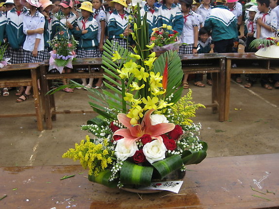 Huong dan cam hoa va thuyet trinh cam hoa 20-11