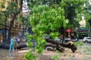 Bão số 14 tối nay đi vào bão vào Hải Phòng, Thái Bình, Quảng Ninh