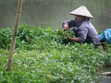 Phat hien 80 nghin lo hoa chat kich thich gia do vao Ha Noi
