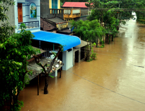 ngai-5968-1384514727.jpg