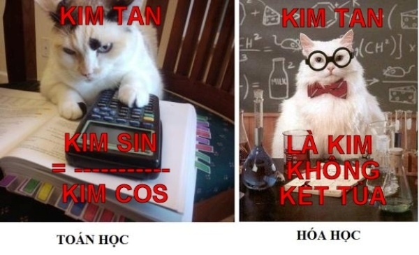 Gioi tre va nhung trao luu \