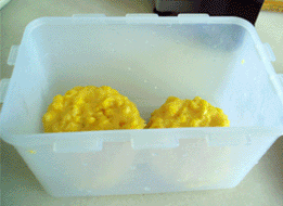 Cach lam banh ngo ngon va don gian nhat