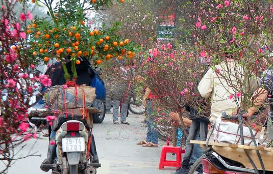 Để có tiền chi tiêu Tết, dân bất động sản đi làm xe ôm chở đào quất thuê.