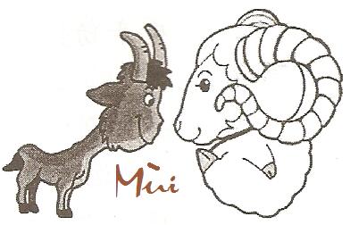 Chon tuoi xong nha nam 2014 tuoi Dinh Mui 1967