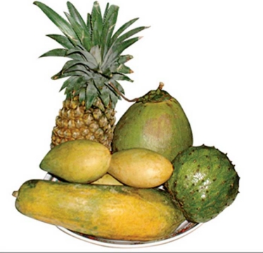 mam_ngu_qua_nam