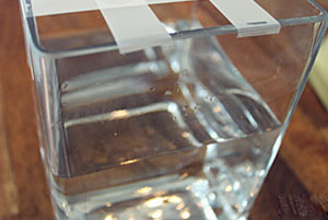 3-4997-1390639320.jpg