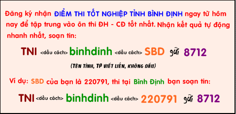 Ngay 18/6 Binh Dinh cong bo diem thi tot nghiep