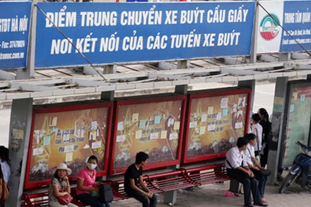 Nhung kieu lua dao ma tan sinh vien can biet