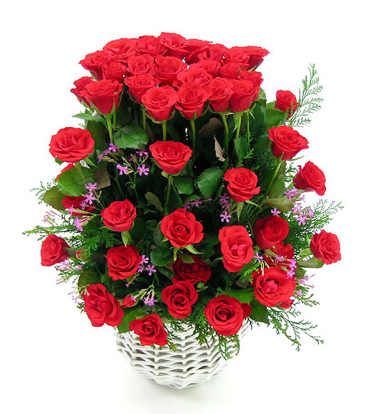Huong dan cach cam hoa va thuyet trinh cam hoa ngay 20/10