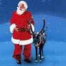 Cay thong Noel, ong gia, avatar va vat trang tri dep