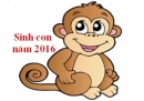 Sinh con năm 2016 mùa nào, tháng nào tốt nhất