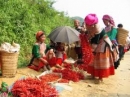 Những điểm vui chơi thú vị cho ngày Tết dương lịch 2015