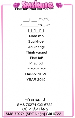 Dia diem ban phao hoa tet Duong lich 2015 tai TPHCM