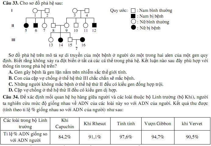De thi THPT Quoc gia mon Sinh cua Bo GD&DT 2015 - De mau