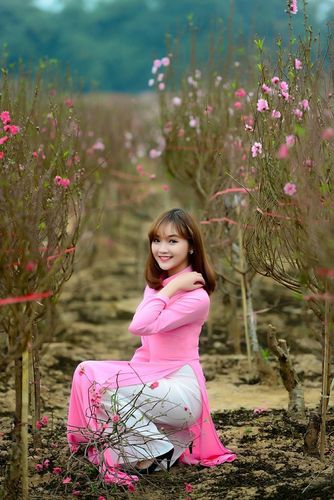 Cach lam hoa hong bang ruy bang cuc dep va don gian