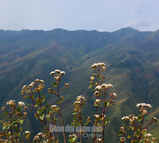 Danh sach cong ty thu hut nguoi xin viec cao nhat