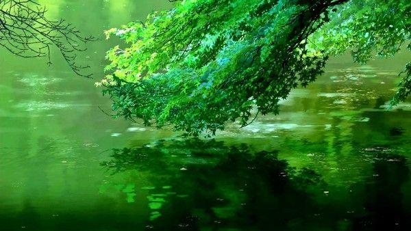 Gioi tre Nhat cuong than tuong den muc quy lay anh