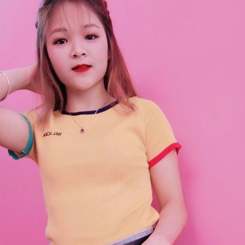 Hoa cẩm chướng lung linh xua tan tiết trời u ám