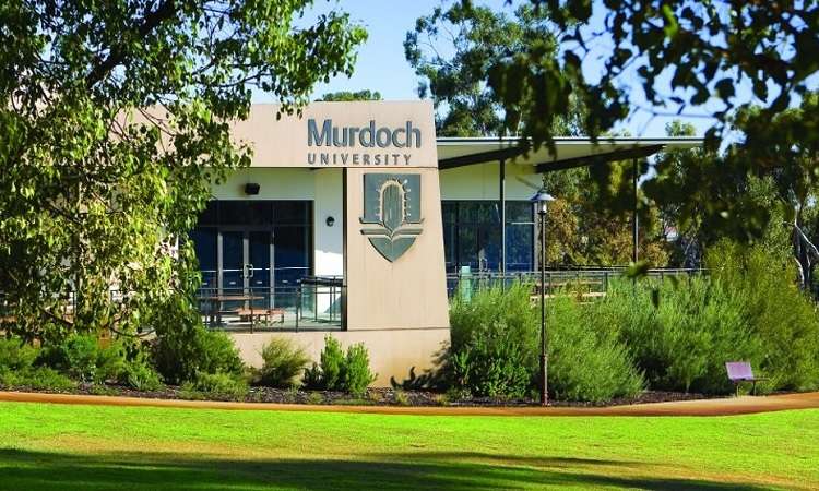 Học bổng ĐH Murdoch, Úc cho sinh viên quốc tế 2017-2018 Học bổng ĐH Murdoch, Úc cho sinh viên quốc tế 2017-2018