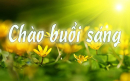 Tử vi 12 cung hoàng đạo Chủ nhật ngày 2/9/2018