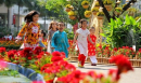 Học sinh Hà Nội được nghỉ tết Nguyên đán 2019 là 10 ngày