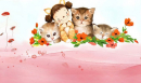 Tử vi 12 cung hoàng đạo Thứ Ba ngày 22/1/2019