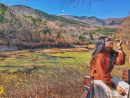 Tử vi 12 cung hoàng đạo thứ Hai ngày 10/6/2019