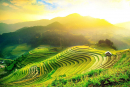 Tử vi 12 cung hoàng đạo thứ Bảy ngày 6/7/2019