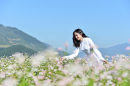 Tử vi 12 cung hoàng đạo thứ Sáu ngày 9/8/2019