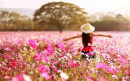 Tử vi 12 cung hoàng đạo thứ Sáu ngày 23/8/2019