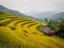 Tử vi 12 cung hoàng đạo thứ Bảy ngày 26/9/2020