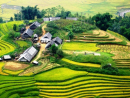 Tử vi 12 cũng hoàng đạo thứ Sáu ngày 9/10/2020