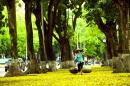 Tử vi 12 cung hoàng đạo thứ Bảy ngày 17/10/2020