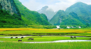 Tử vi 12 cung hoàng đạo thứ Tư ngày 18/11/2020