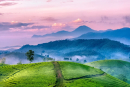 Tử vi 12 cung hoàng đạo thứ Bảy ngày 13/3/2021
