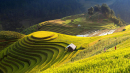Tử vi 12 cung hoàng đạo thứ Năm ngày 8/7/2021