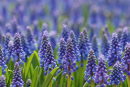 Tử vi 12 cung hoàng đạo thứ Sáu ngày 22/10/2021