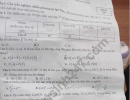 Đề thi giữa kì 2 lớp 11 môn Toán - THPT Yên Hòa 2024 (Cấu trúc mới)