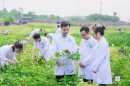 Trường ĐH Nông lâm TP.HCM công bố công thức quy đổi điểm chuẩn trúng tuyển năm 2025