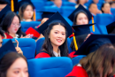 Bộ Chính trị yêu cầu xây dựng Đề án đổi mới 88Kinh tải ứng dụng về điện thoại đại học