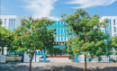 Thông tin 88Kinh tải ứng dụng về điện thoại Đại học Y dược Đà Nẵng 2026