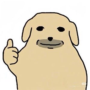 buithitrinh