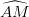 \dpi{100} \widehat{AM}