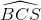 \widehat{BCS}