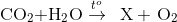 {\rm{C}}{{\rm{O}}_{\rm{2}}}{\rm{ + }}{{\rm{H}}_{\rm{2}}}{\rm{O}}\overset{t^{o}}{\rightarrow}\,\,\,{\rm{ X}}\,{\rm{ + }}\,\,{\rm{O}}{}_{\rm{2}}