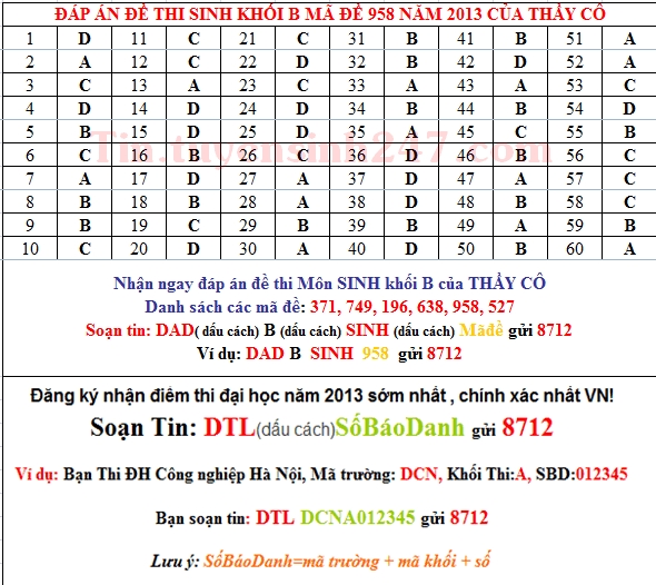 Dap an de thi dai hoc mon sinh khoi B nam 2013